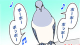 第61話　 ハトとむーたん