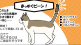 第89話　シッポで分かる猫の気持ち ①