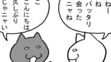 第47話「ややこしいニャ」