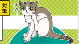 第164話　猫ニキビの原因と対策 ②