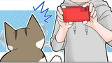 第200話　撮られると緊張する猫