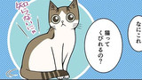 第238話　くびれ
