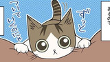 第244話　足もとの猫 ③
