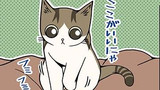 第257話　気まぐれ猫様