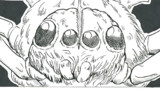 第50話「クモ」
