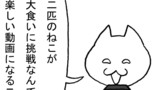 第241話「大食いねこ」
