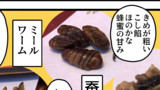 昆虫食べたレポ漫画