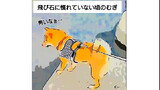 第1話「飛び石」