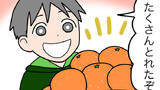 第68話　みかんを食べたら