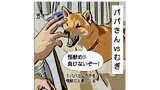 第13話「パパさんvsむぎ」
