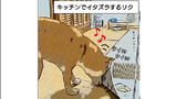 第19話「荒ぶるリク」