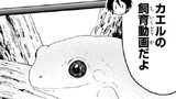 第9.5話 カエル飼いたい
