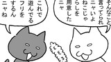第269話「ねこじゃらす」