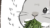 第2話　わしゃわしゃrabbit…他