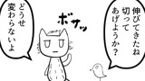 第29話　ひねくれ猫と散髪