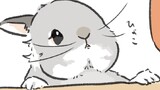 第20話　ひょこrabbit…他