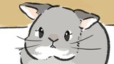 第38話　チンチラrabbit…他