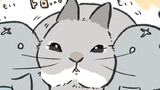 第40話 もいもいrabbit…他