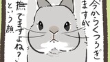 第50話　アピールrabbit…他