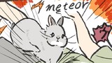 第56話　メテオrabbit…他