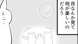 第31話　ひねくれ猫とお月見