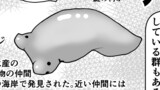 第23話　１p解説「陸のウミウシ」の世界