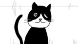 【予告】猫にまつわる話