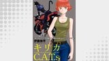 キリカC.A.T.s 分冊版 ： 3