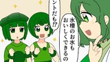 マリモのまりこちゃん