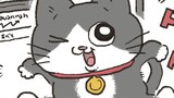 ねこに転生したおじさん