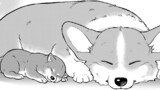 その二十四