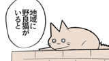 脅威！野良猫