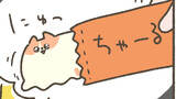 とけねこ