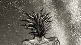 クリスタルハンター