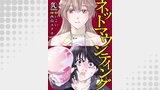 ネットマウンティング01
