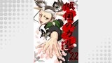 傾国のカルマ 22