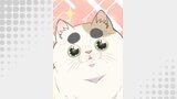 母塚さんを××にしたい。 第325話 心を癒すもの【タテヨミ】