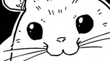 やっぱりチンチランド