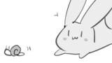 『君とうさぎ。』
