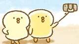 ぴよこ豆