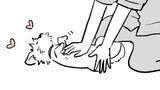怒る犬との生活