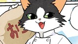 ねこシェフが教える　はじめての料理