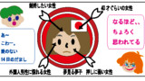 チャッキーの日常
