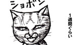 喜（怒）哀楽猫。　「ねこ先生の日記　劇画風味　第３７話」