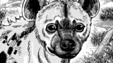 ローワライ