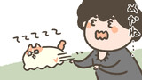 とけねこ