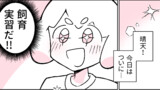 うちの学校は様子がおかしい