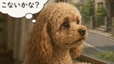 第5話：ひとりぼっち