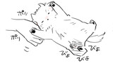 怒る犬との生活