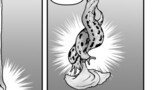 クック先生の動物講座